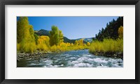 San Miguel River, Colorado Fine Art Print
