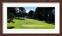 Player at Presidio Golf Course, San Francisco, California Fine Art Print