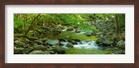 Creek in Great Smoky Mountains National Park, Tennessee Fine Art Print