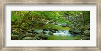 Creek in Great Smoky Mountains National Park, Tennessee Fine Art Print