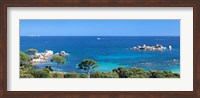 Palombaggia Beach, Corse-Du-Sud, Corsica, France Fine Art Print
