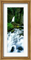 Wahclella Falls, Columbia River Gorge, Oregon Fine Art Print