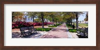 Waterfront Park in Charleston, SC Fine Art Print