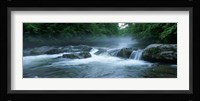 Great Smoky Mountains National Park Fine Art Print