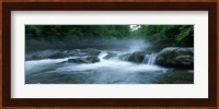 Great Smoky Mountains National Park Fine Art Print