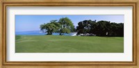 Trees on a Golf Course, Manua Kea, Hawaii Fine Art Print