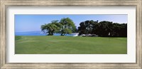 Trees on a Golf Course, Manua Kea, Hawaii Fine Art Print