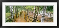 Gooseberry River, Gooseberry Falls State Park, Minnesota Fine Art Print