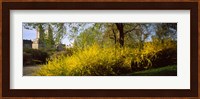 Central Park in spring with buildings in the background, Manhattan, New York City, New York State, USA Fine Art Print