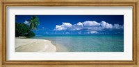 Palm Tree in the French Polynesia Fine Art Print