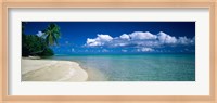 Palm Tree in the French Polynesia Fine Art Print