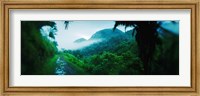 Rainforest in Cayo District, Belize Fine Art Print