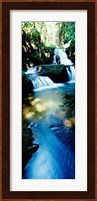 Waterfall in Hilo, HI Fine Art Print