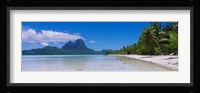Palm Trees in Bora Bora, French Polynesia Fine Art Print