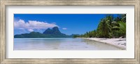 Palm Trees in Bora Bora, French Polynesia Fine Art Print