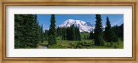 Mt. Rainier National Park, Washington State Fine Art Print