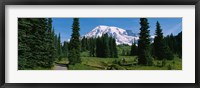Mt. Rainier National Park, Washington State Fine Art Print