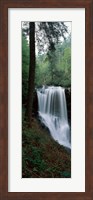 Dry Falls, Nantahala National Forest, Macon County, North Carolina Fine Art Print
