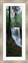 Dry Falls, Nantahala National Forest, Macon County, North Carolina Fine Art Print