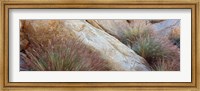 Anza Borrego Desert State Park, Borrego Springs, California Fine Art Print