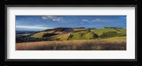Landscape, Scottish Borders, Scotland Fine Art Print