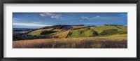 Landscape, Scottish Borders, Scotland Fine Art Print