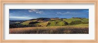 Landscape, Scottish Borders, Scotland Fine Art Print