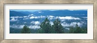 Tonto National Forest, AZ Fine Art Print