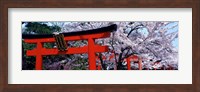 Japan Takenaka Inari Shrine Fine Art Print