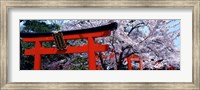 Japan Takenaka Inari Shrine Fine Art Print
