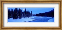 Moon Rising Above The Forest, Banff National Park, Alberta, Canada Fine Art Print