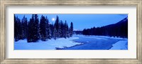 Moon Rising Above The Forest, Banff National Park, Alberta, Canada Fine Art Print
