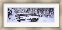 Snowy Bridge in Banff National Park, Alberta, Canada Fine Art Print