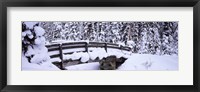 Snowy Bridge in Banff National Park, Alberta, Canada Fine Art Print