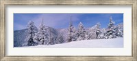 Snow Covered Landscape, Colorado Fine Art Print