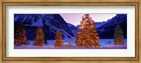 Christmas Trees, Lake Louise, Alberta, Canada Fine Art Print