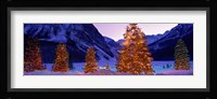 Christmas Trees, Lake Louise, Alberta, Canada Fine Art Print