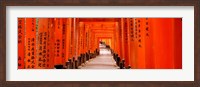 Tunnel of Torii Gates, Fushimi Inari Shrine, Japan Fine Art Print