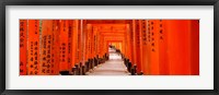 Tunnel of Torii Gates, Fushimi Inari Shrine, Japan Fine Art Print