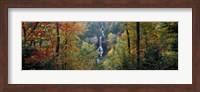 Raven Cliff Falls, Sumter National Forest, Greenville County, South Carolina Fine Art Print