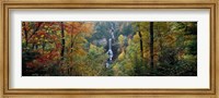 Raven Cliff Falls, Sumter National Forest, Greenville County, South Carolina Fine Art Print