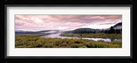 Yellowstone Park, Snake River, Wyoming Fine Art Print