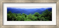Smoky Mountain National Park, Tennessee Fine Art Print