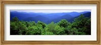 Smoky Mountain National Park, Tennessee Fine Art Print