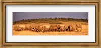 Elephant Herd, Kenya, Maasai Mara Fine Art Print