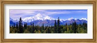 Denali National Park, Alaska Fine Art Print