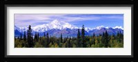Denali National Park, Alaska Fine Art Print