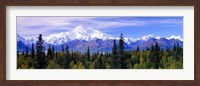 Denali National Park, Alaska Fine Art Print