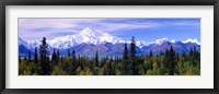 Denali National Park, Alaska Framed Print