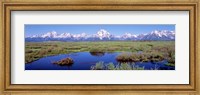 Grand Teton Park, Wyoming (color) Fine Art Print